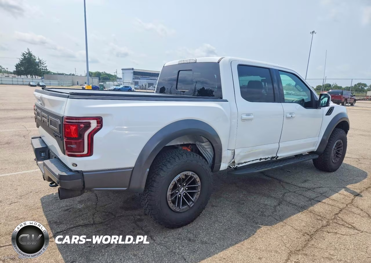 2019 Ford F150 Raptor VIN:1FTFW1RG5KFA40329 - 3