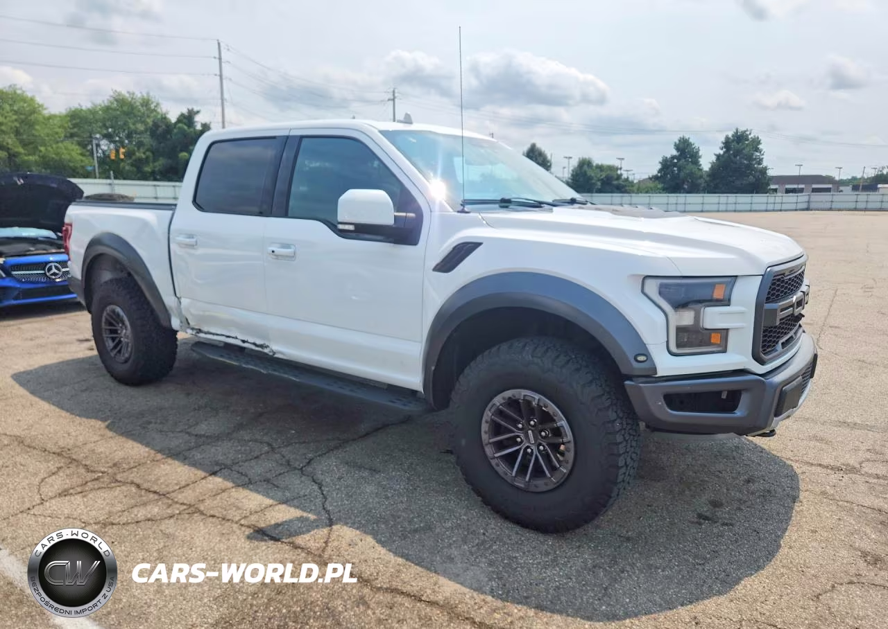 2019 Ford F150 Raptor VIN:1FTFW1RG5KFA40329 - 4