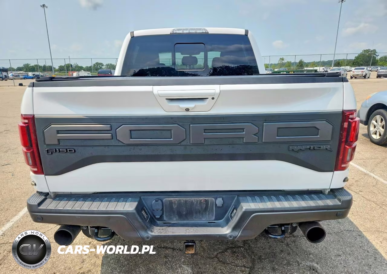 2019 Ford F150 Raptor VIN:1FTFW1RG5KFA40329 - 6