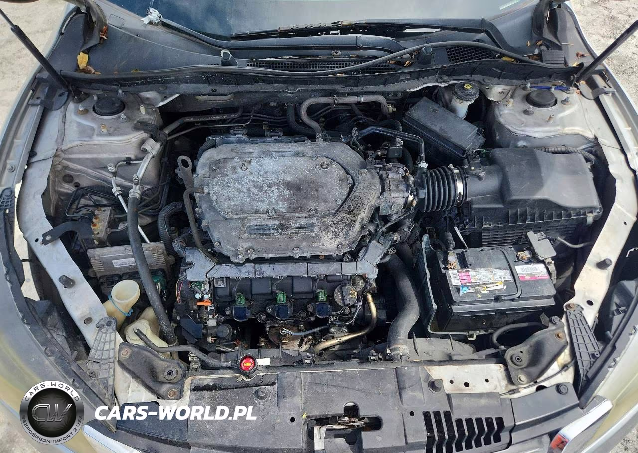 2013 Honda Accord Exl VIN:1HGCR3F83DA002828 - 11