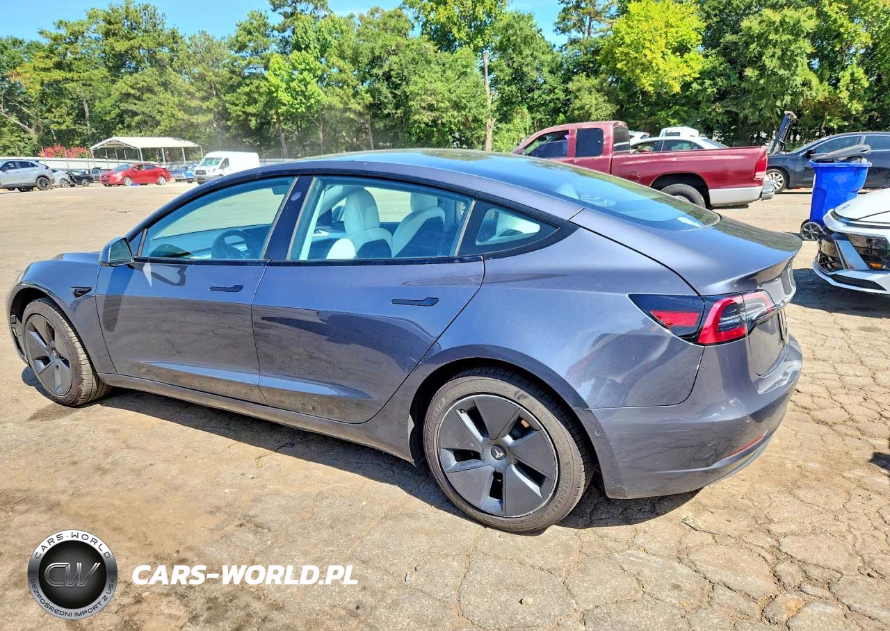 2021 Tesla Model 3 VIN:5YJ3E1EA2MF081564 - 2