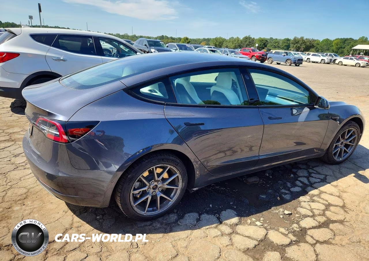 2021 Tesla Model 3 VIN:5YJ3E1EA2MF081564 - 3