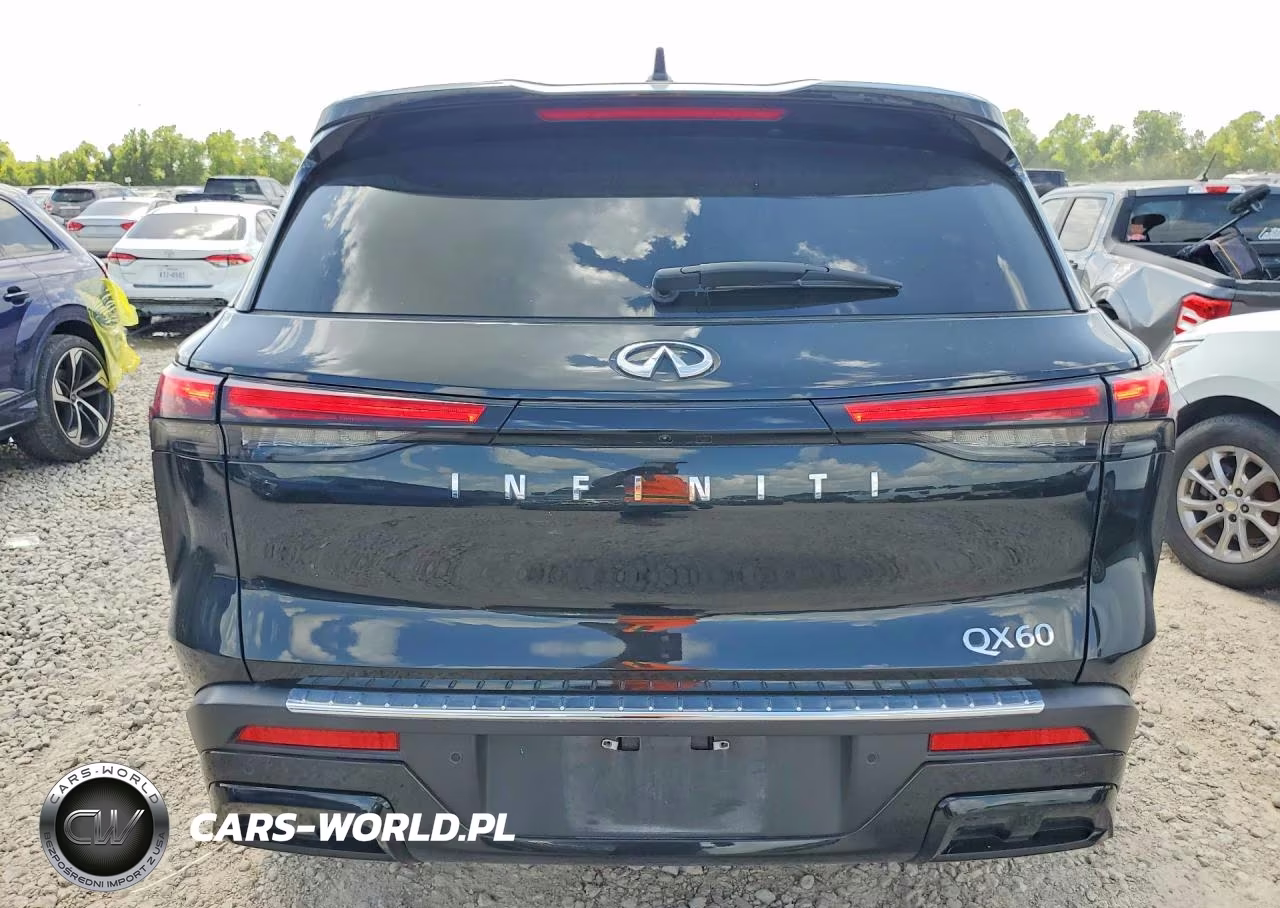 2023 Infiniti Qx60 Luxe VIN:5N1DL1FR6PC363878 - 6