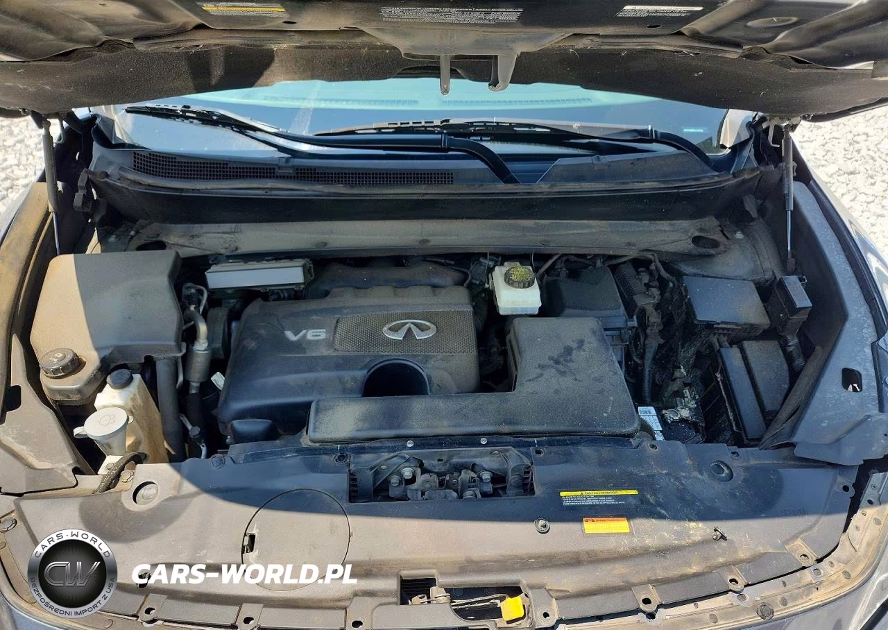 2020 Infiniti Qx60 Pure VIN:5N1DL0MM3LC518723 - 12