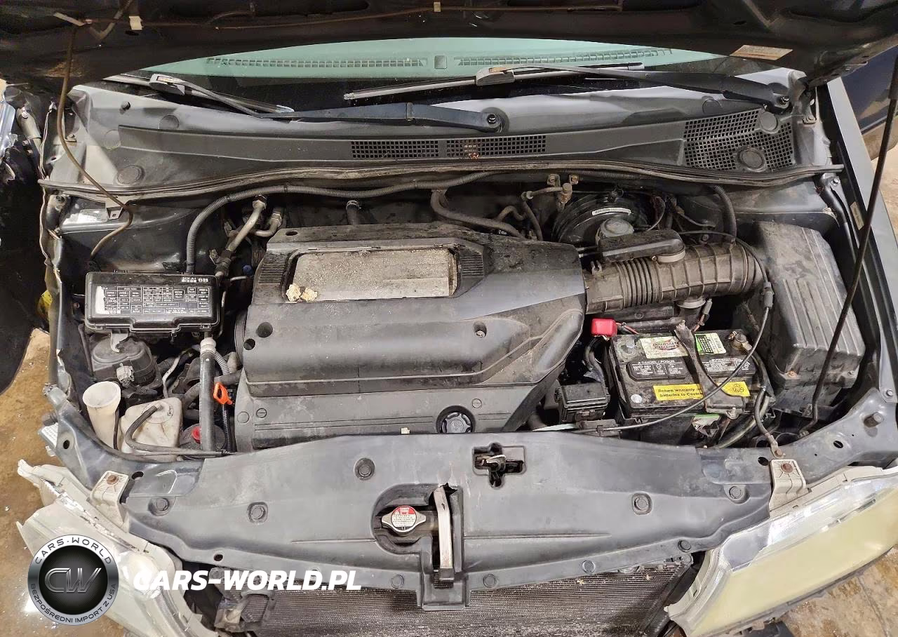 2004 Honda Odyssey Exl VIN:2HKRL189X4H500926 - 12