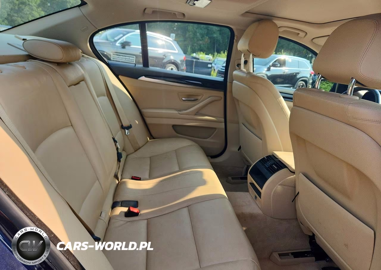 2014 BMW 528 Xi VIN:WBA5A7C52ED617819 - 10
