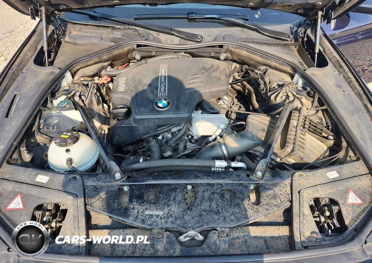 2014 BMW 528 Xi VIN:WBA5A7C52ED617819 - 11