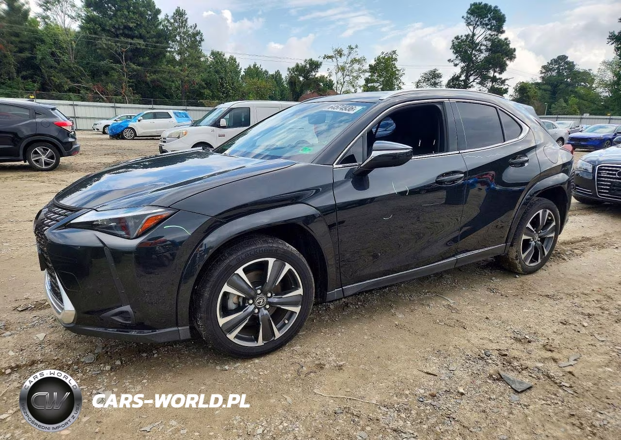 2023 Lexus Ux