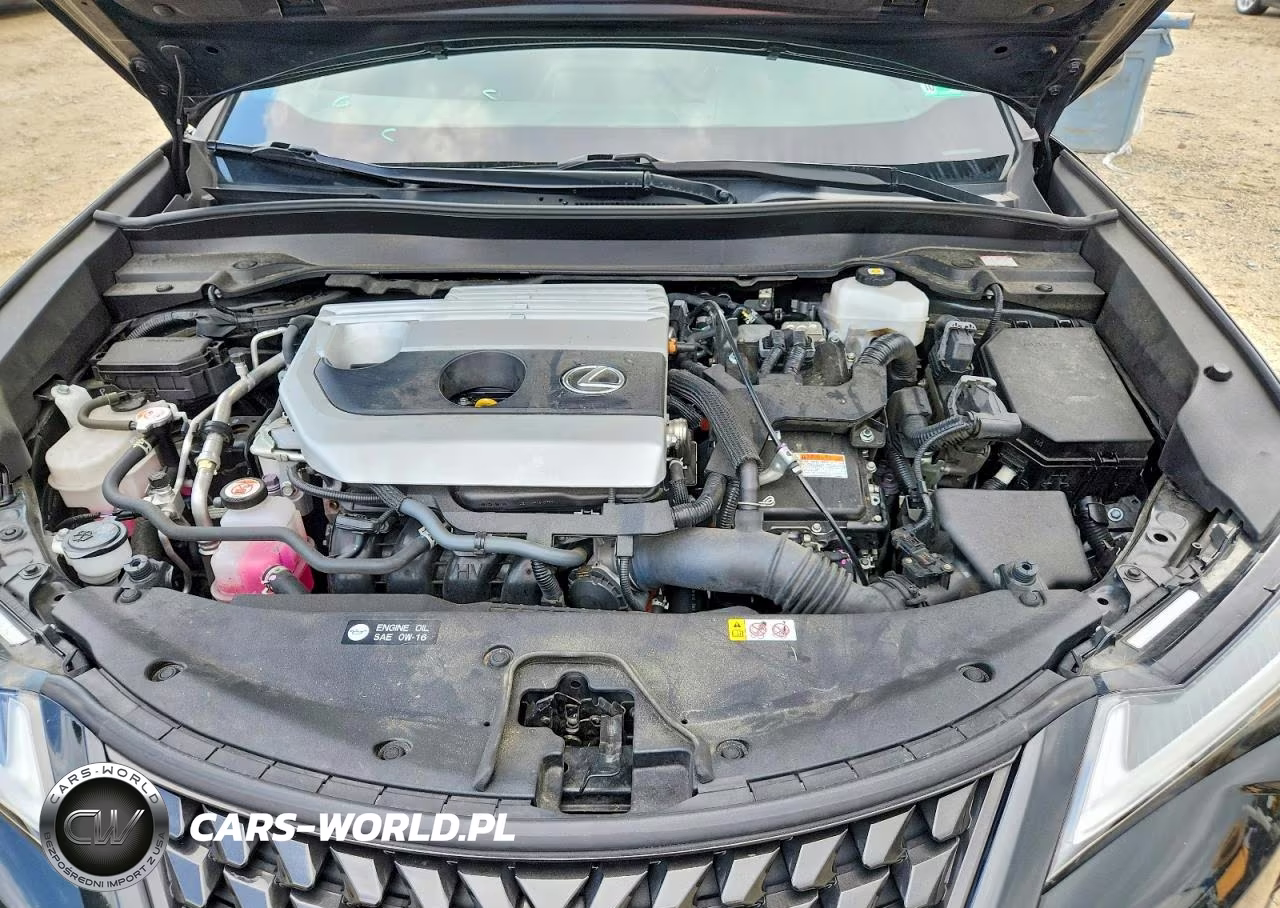 2023 Lexus Ux VIN:JTHP6JBH4P2134772 - 12