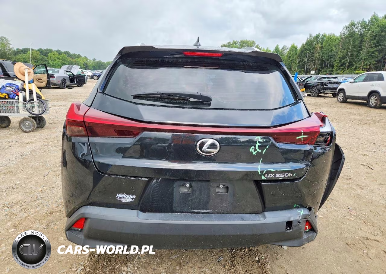 2023 Lexus Ux VIN:JTHP6JBH4P2134772 - 6