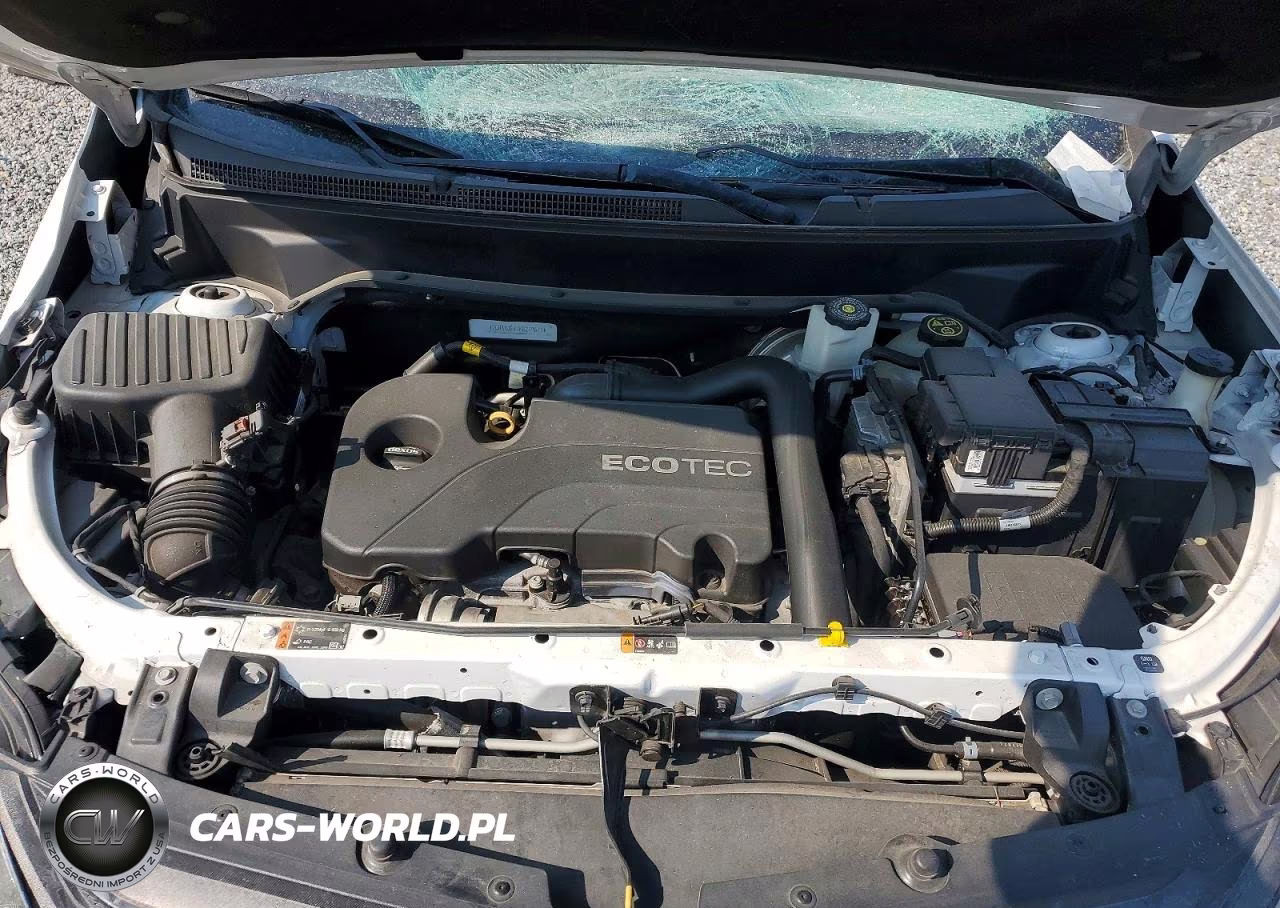 2019 Chevrolet Equinox Lt VIN:2GNAXJEV7K6219677 - 11