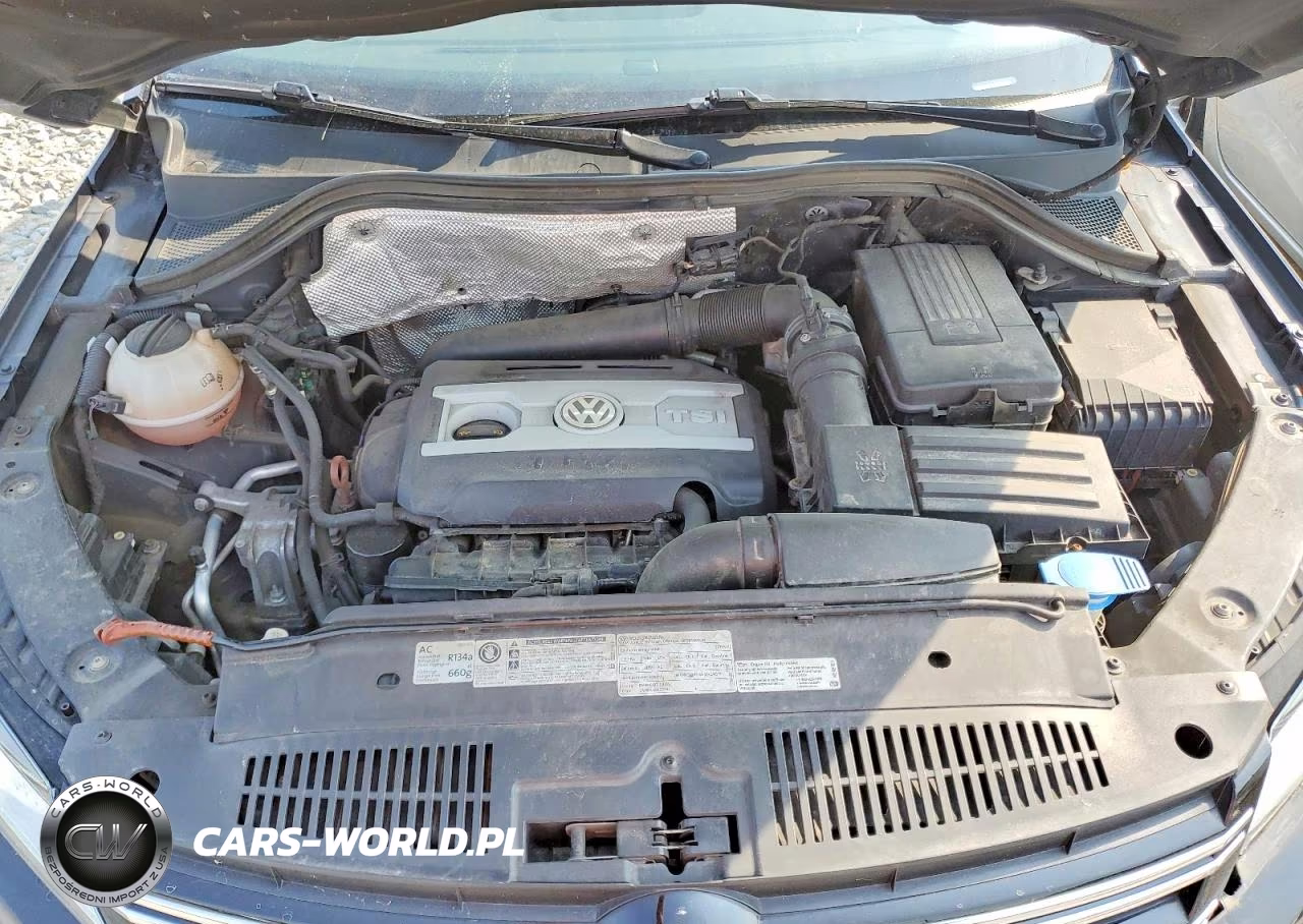 2013 Volkswagen Tiguan S VIN:WVGBV7AX9DW501479 - 12