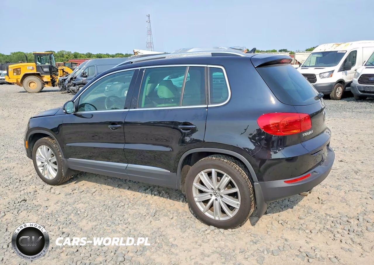 2013 Volkswagen Tiguan S VIN:WVGBV7AX9DW501479 - 2