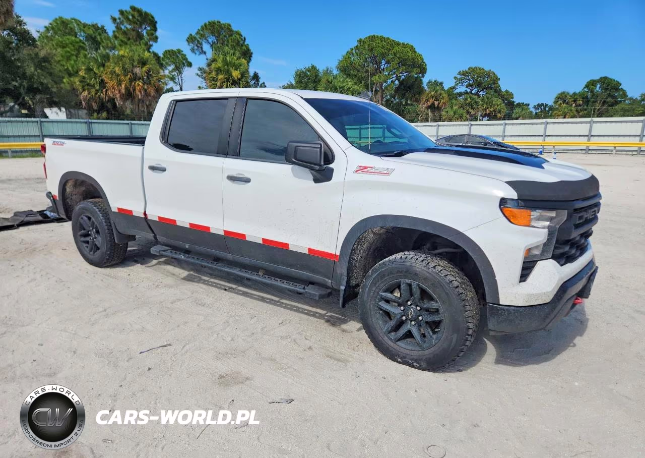 2023 Chevrolet Silverado K1500 Trail Boss Custom VIN:3GCUDCED4PG121476 - 4