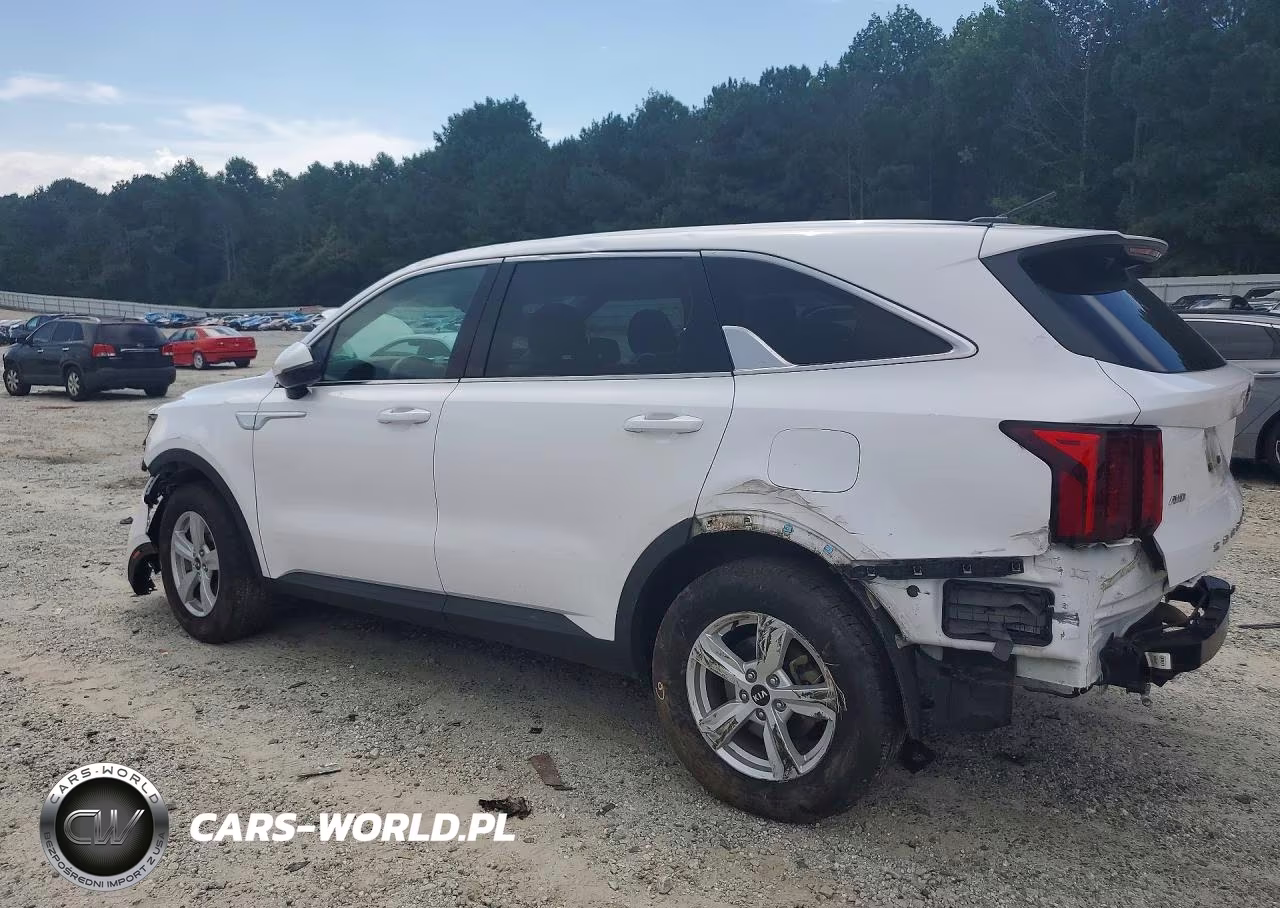 2021 Kia Sorento Lx VIN:5XYRGDLC7MG008533 - 2