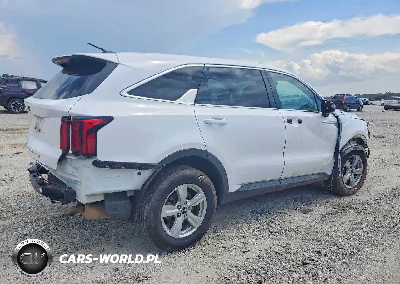 2021 Kia Sorento Lx VIN:5XYRGDLC7MG008533 - 3