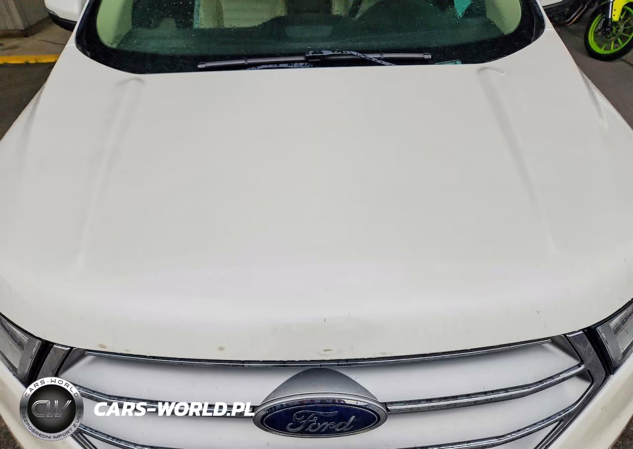 2017 Ford Edge Sel VIN:2FMPK4J93HBB29773 - 12