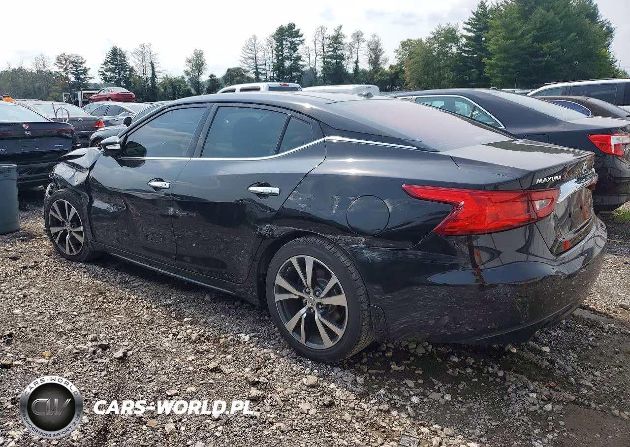 2017 Nissan Maxima Platinum VIN:1N4AA6AP5HC365273 - 2