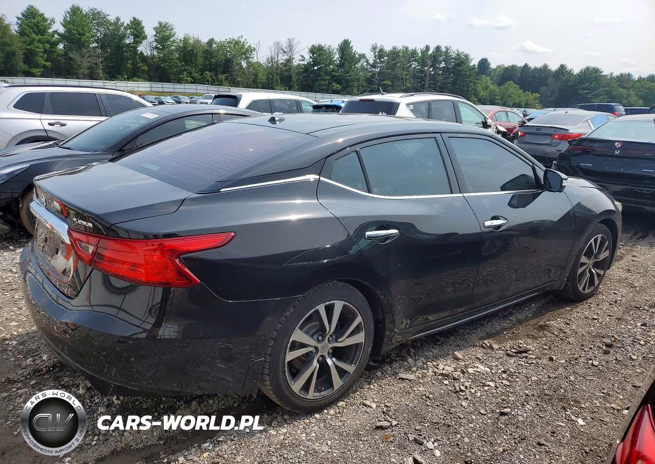 2017 Nissan Maxima Platinum VIN:1N4AA6AP5HC365273 - 3
