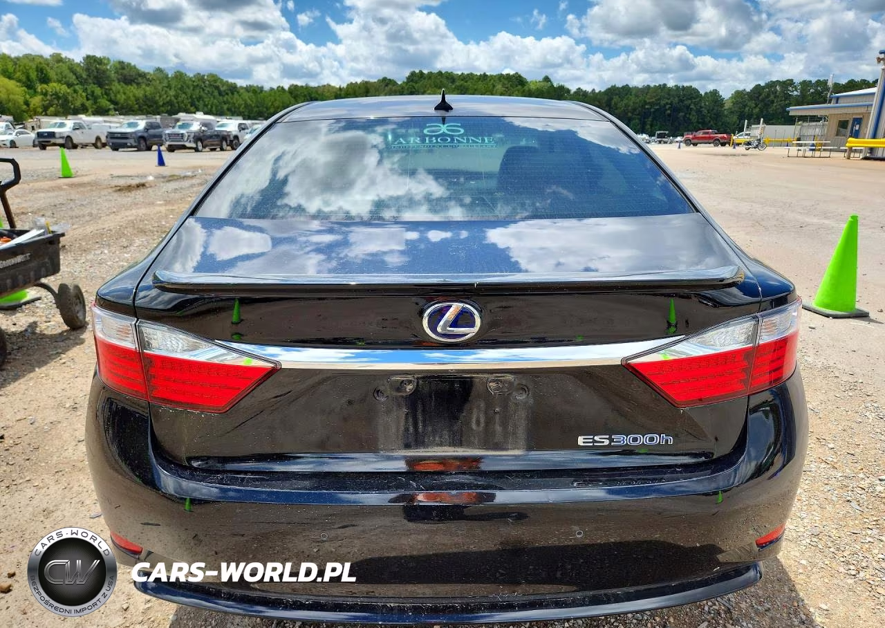 2013 Lexus Es 300H VIN:JTHBW1GG3D2021496 - 6