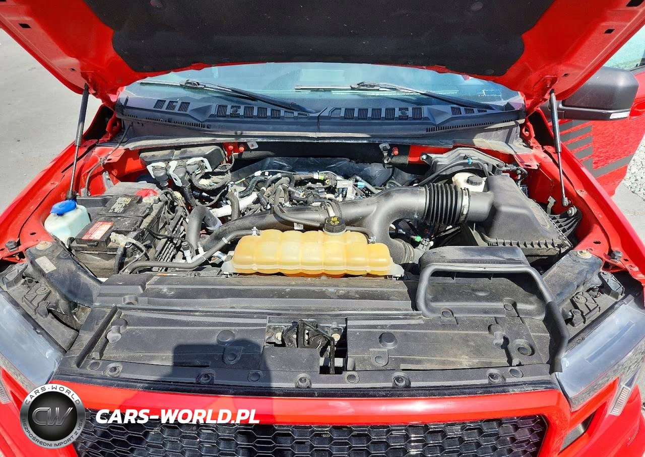 2019 Ford F150 Supercrew VIN:1FTEW1EP8KFA88568 - 11