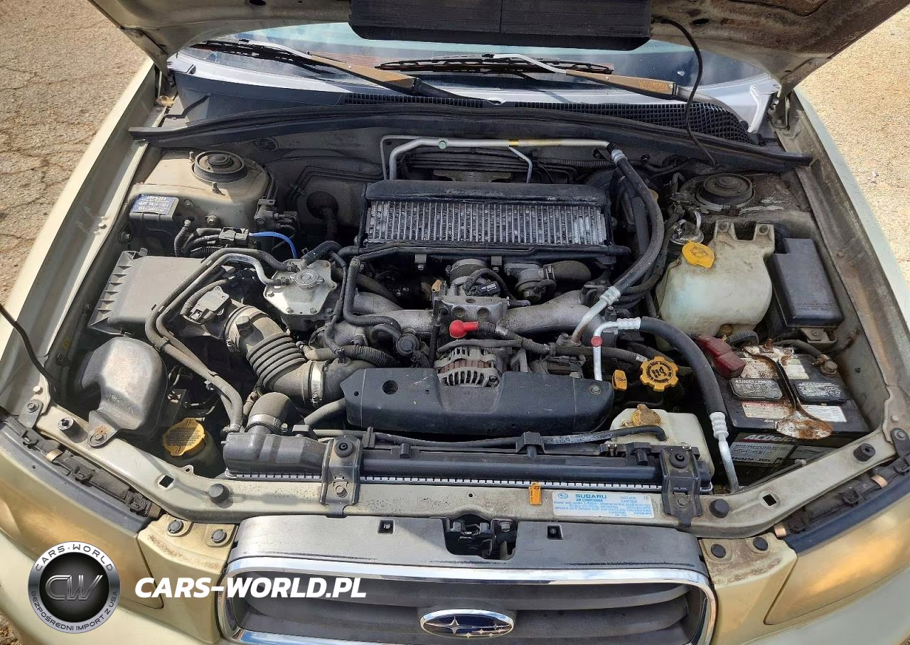 2004 Subaru Forester 2.5Xt VIN:JF1SG69654H757018 - 12
