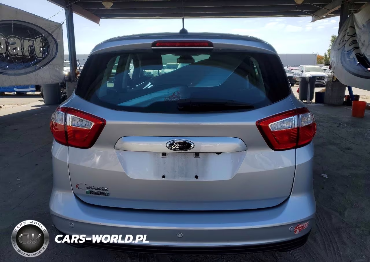 2016 Ford C-Max Premium Sel VIN:1FADP5CU9GL119009 - 6