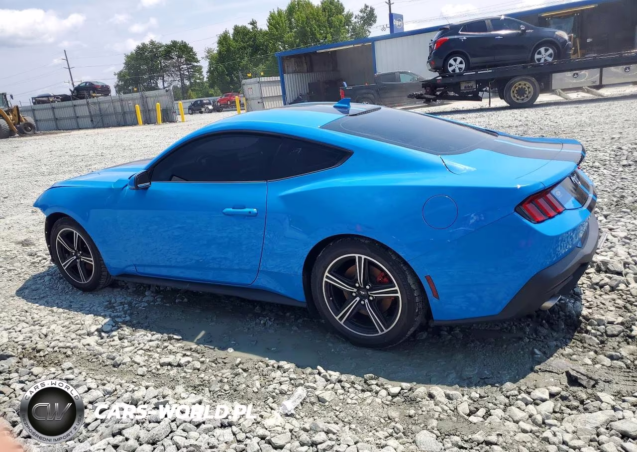 2024 Ford Mustang VIN:1FA6P8TH0R5107299 - 2