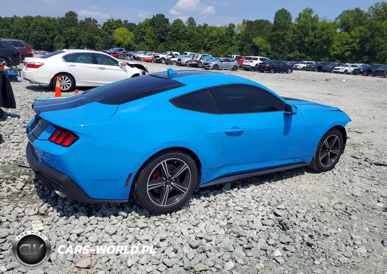 2024 Ford Mustang VIN:1FA6P8TH0R5107299 - 3