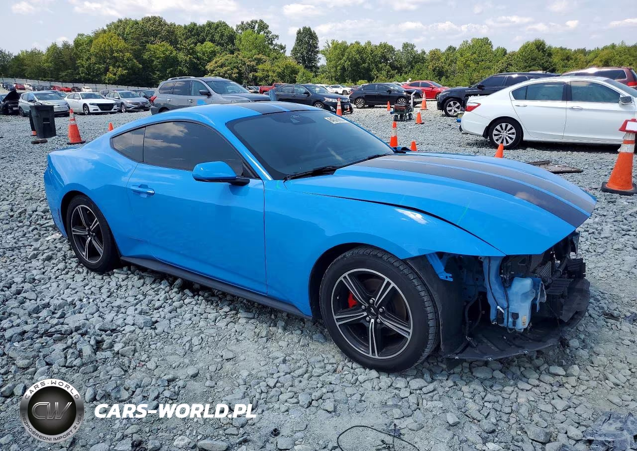 2024 Ford Mustang VIN:1FA6P8TH0R5107299 - 4