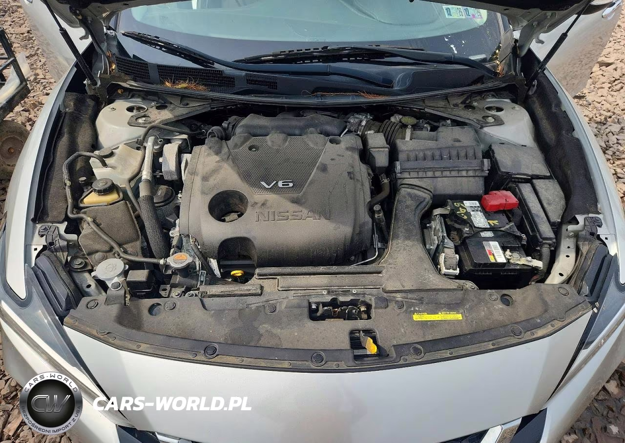 2020 Nissan Maxima Sl VIN:1N4AA6DVXLC377096 - 11