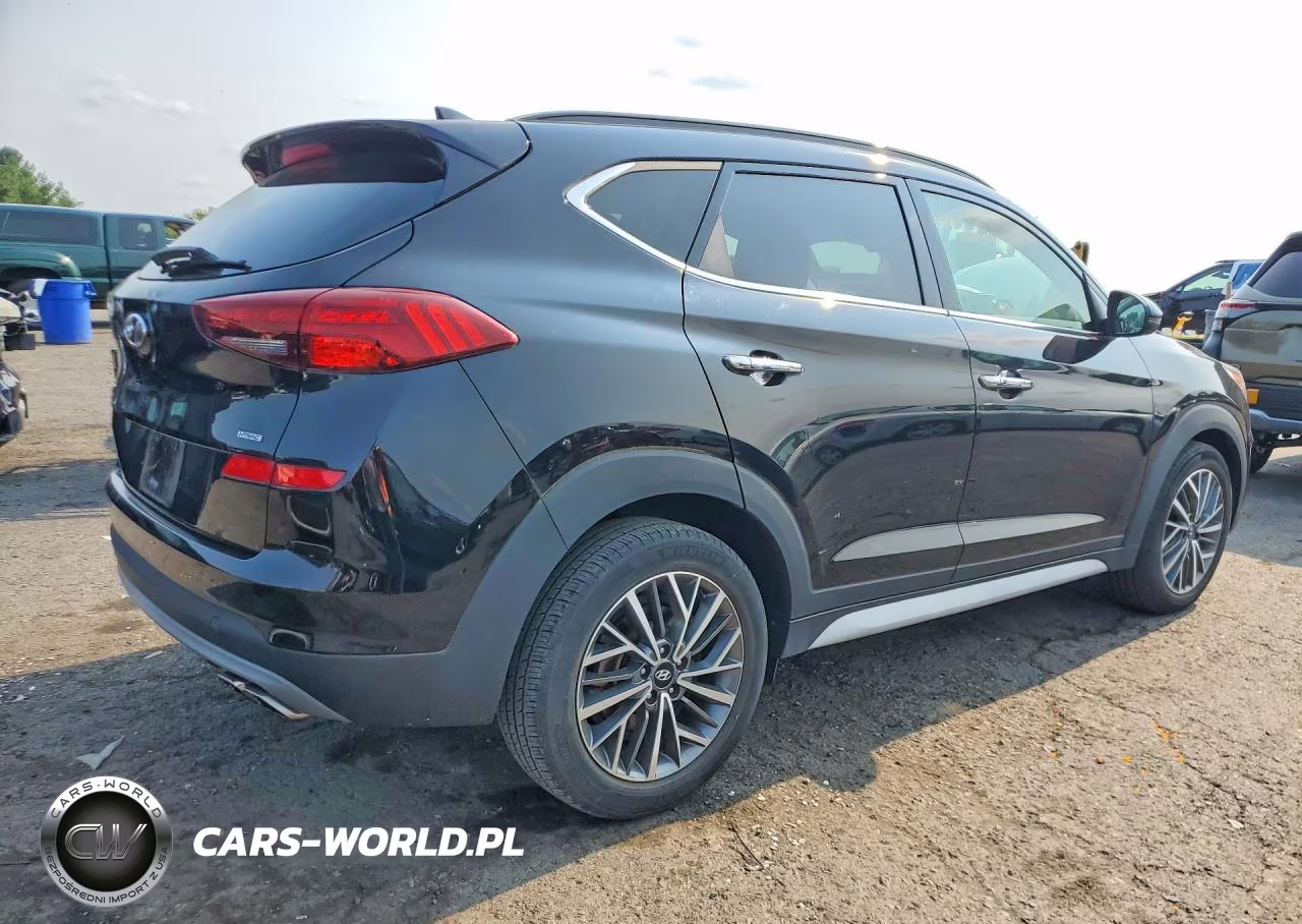 2019 Hyundai Tucson Ultimate VIN:KM8J3CAL0KU025915 - 3