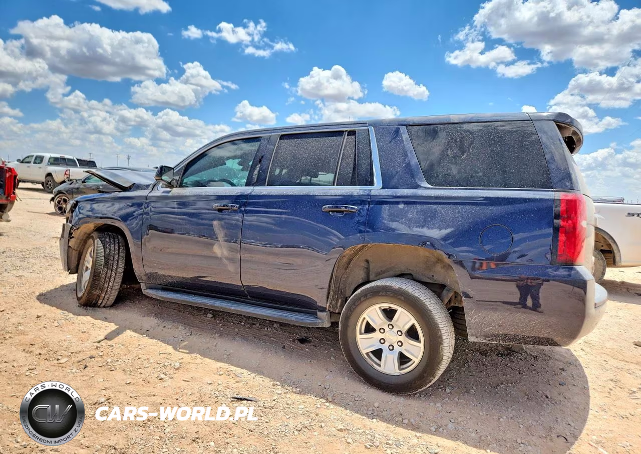 2018 Chevrolet Tahoe Police VIN:1GNSKDEC7JR230989 - 2
