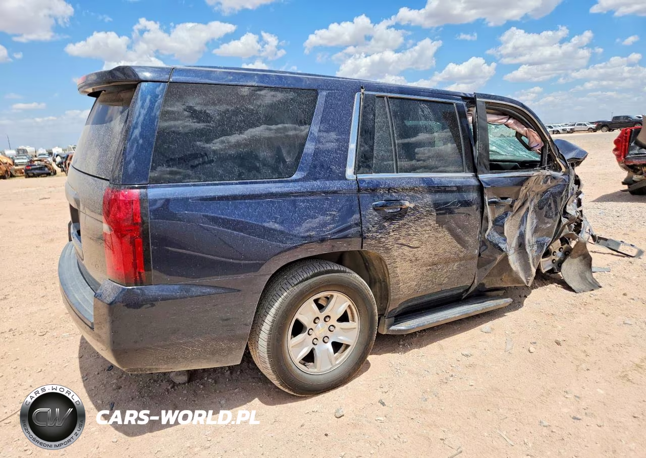 2018 Chevrolet Tahoe Police VIN:1GNSKDEC7JR230989 - 3