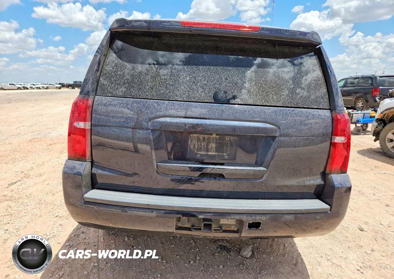 2018 Chevrolet Tahoe Police VIN:1GNSKDEC7JR230989 - 6