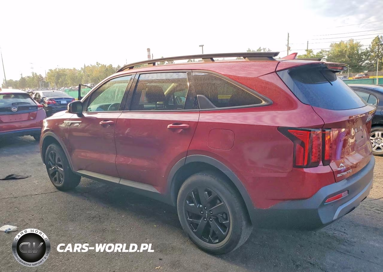 2023 Kia Sorento S VIN:5XYRLDLC7PG219943 - 2