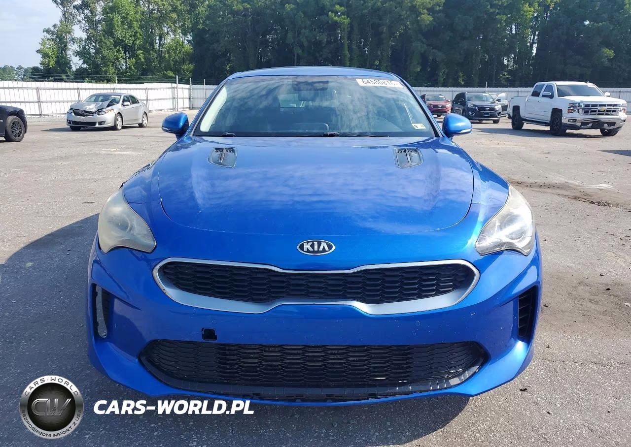 2018 Kia Stinger Base VIN:KNAE15LAXJ6031238 - 5