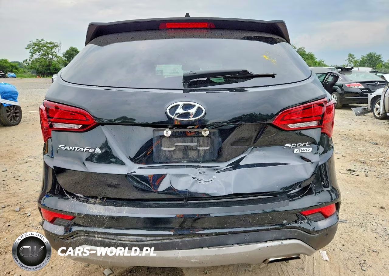 2017 Hyundai Santa Fe Sport 2.4L VIN:5XYZUDLB0HG478232 - 6