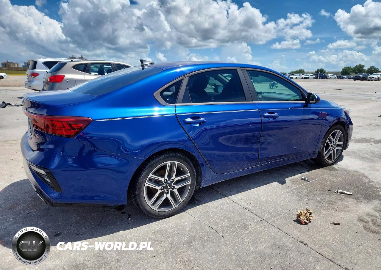 2019 Kia Forte S VIN:3KPF34ADXKE037559 - 3