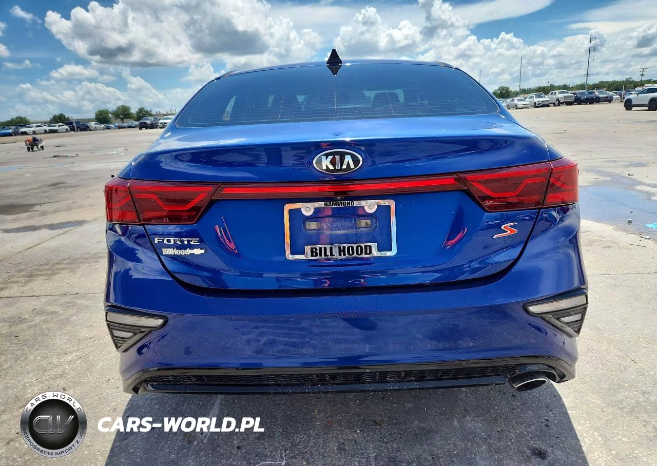 2019 Kia Forte S VIN:3KPF34ADXKE037559 - 6