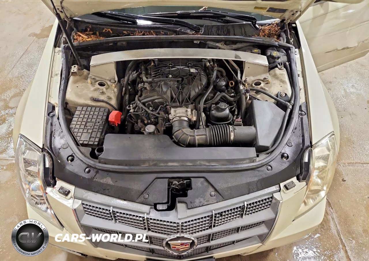 2010 Cadillac Cts Luxury Collection VIN:1G6DG5EG3A0142413 - 11