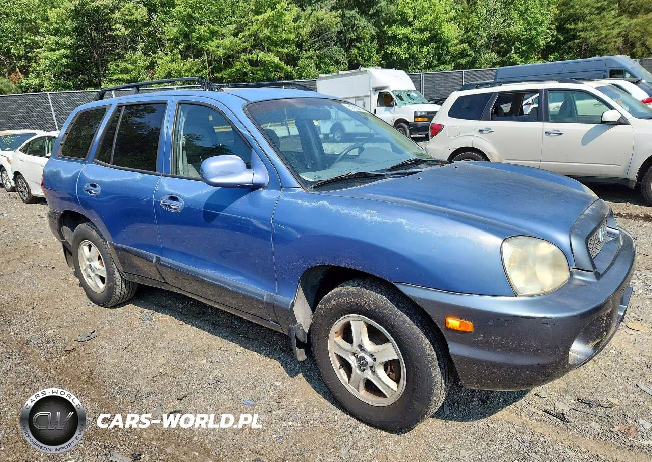 2003 Hyundai Santa Fe Gls VIN:KM8SC73D93U370282 - 4