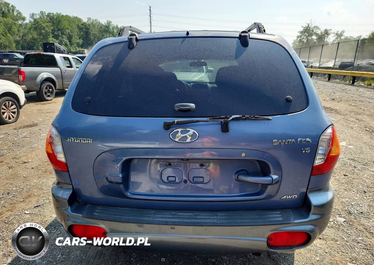 2003 Hyundai Santa Fe Gls VIN:KM8SC73D93U370282 - 6