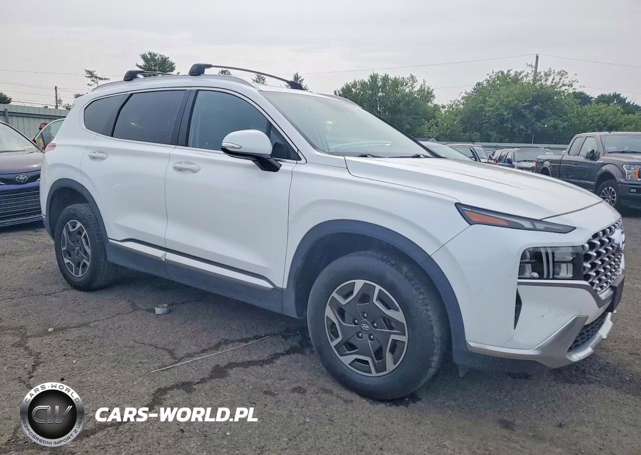 2022 Hyundai Santa Fe Blue VIN:KM8S2DA12NU040044 - 4