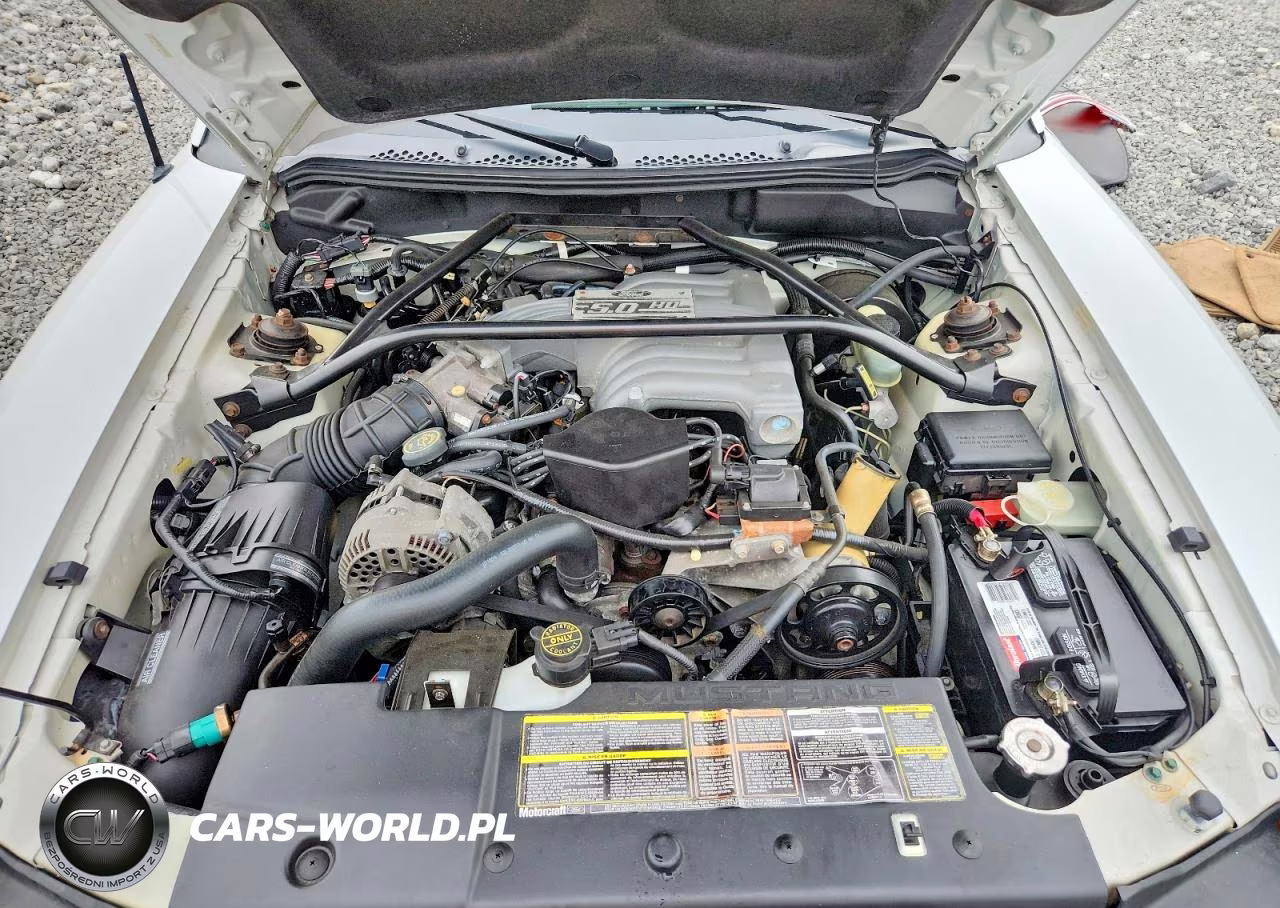 1995 Ford Mustang Gt VIN:1FALP45T8SF104602 - 11