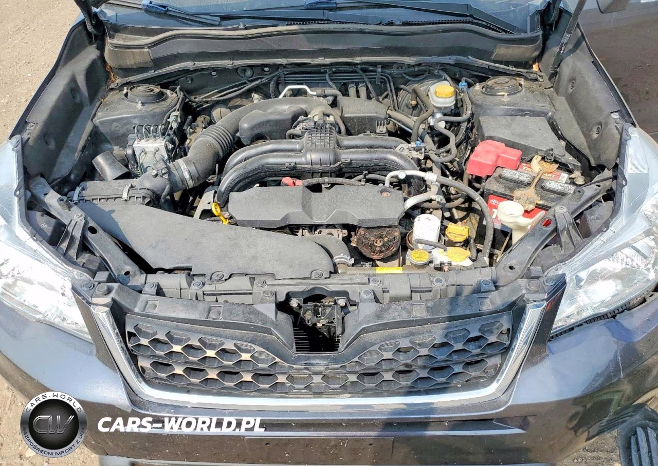 2014 Subaru Forester 2.5I Premium VIN:JF2SJAEC2EH485797 - 12