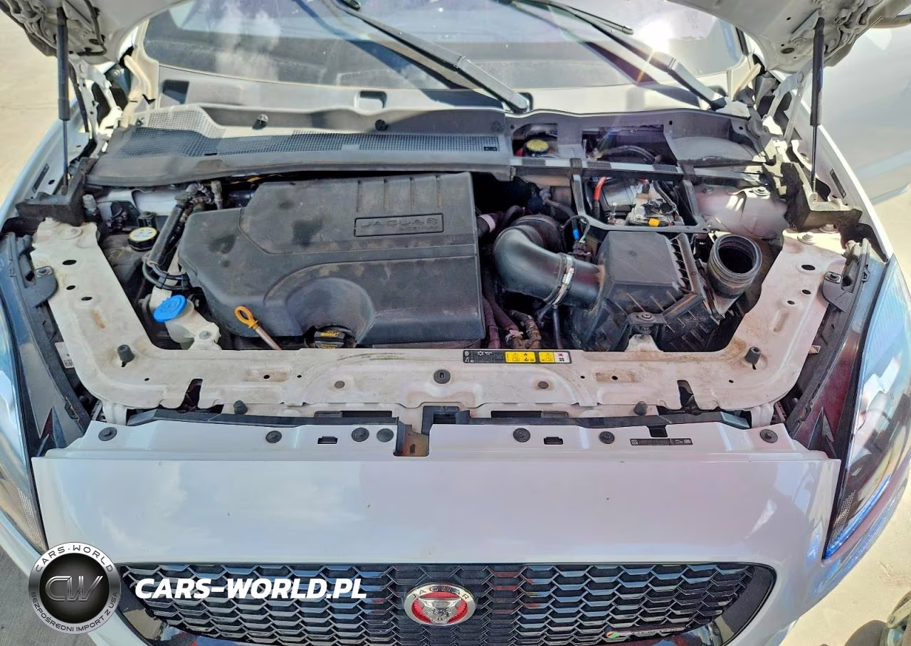 2020 Jaguar E-Pace Checkered Flag VIN:SADF12FX7L1Z87447 - 12