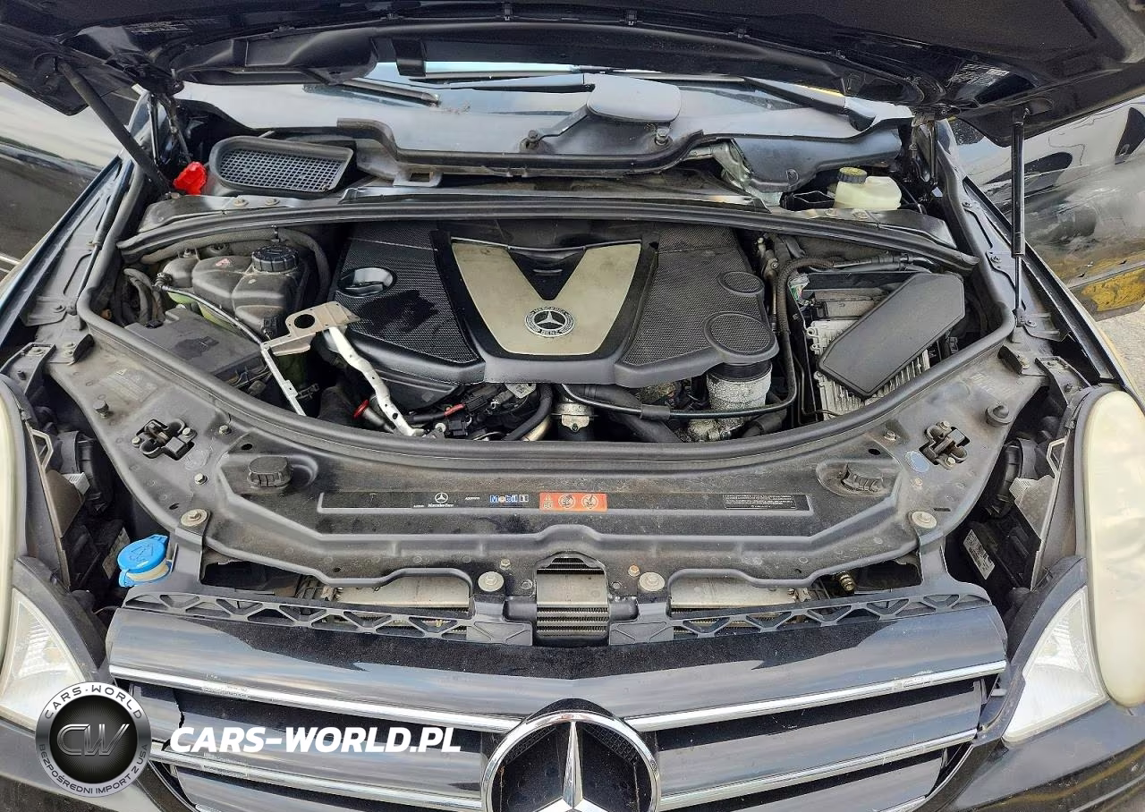 2010 Mercedes-Benz R 350 Bluetec VIN:4JGCB2FE8AA112431 - 12