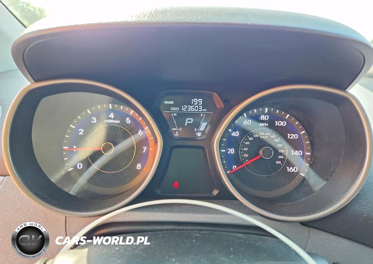 2013 Hyundai Elantra Gls VIN:5NPDH4AE4DH401569 - 9