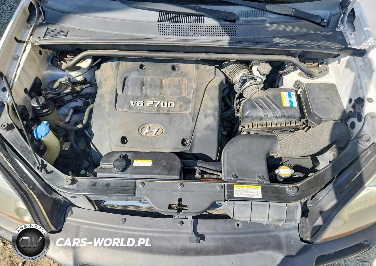 2007 Hyundai Tucson Se VIN:KM8JN72D27U545369 - 12